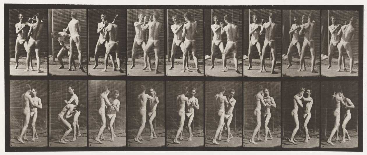 Plate 337. Boksing; Åpen hånd av Eadweard Muybridge