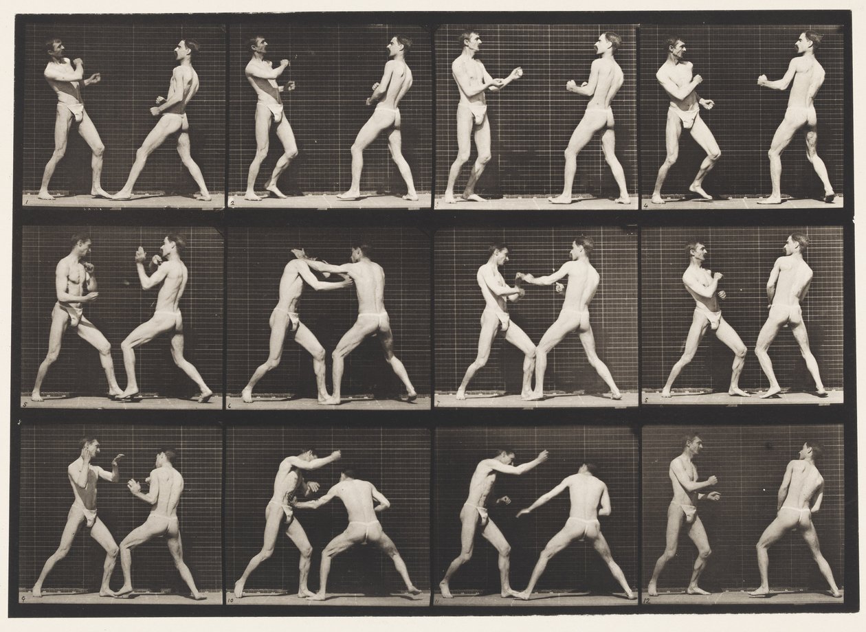 Plate 338. Boksing; Åpen hånd (sko) av Eadweard Muybridge
