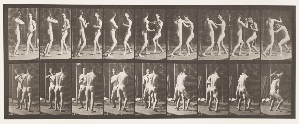 Plate 339. Boksing; Åpen hånd av Eadweard Muybridge