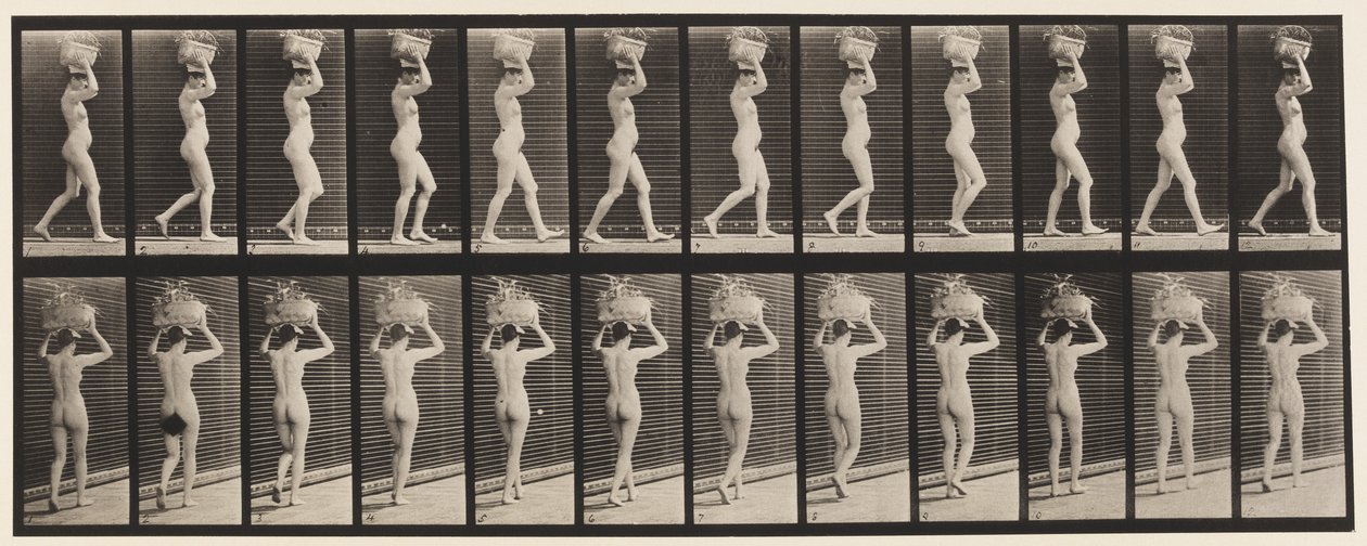 Plate 33. Gående, 14-lb. Kurv på hodet, hender hevet, 1872-1885 av Eadweard Muybridge