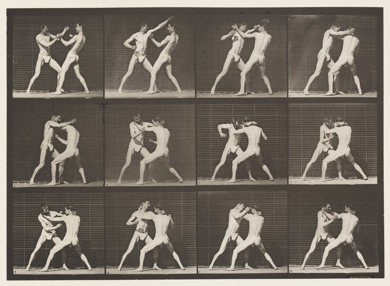 Tallerken 340. Boksing; Åpen hånd av Eadweard Muybridge