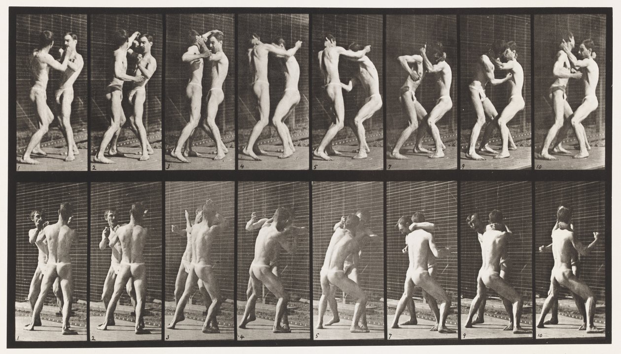 Plate 341. Boksing; Åpen hånd av Eadweard Muybridge