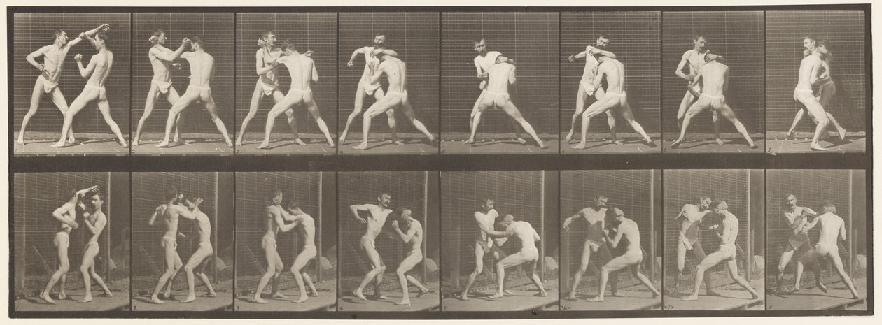 Plate 342. Boksing; Åpen hånd, 1872-1885 av Eadweard Muybridge