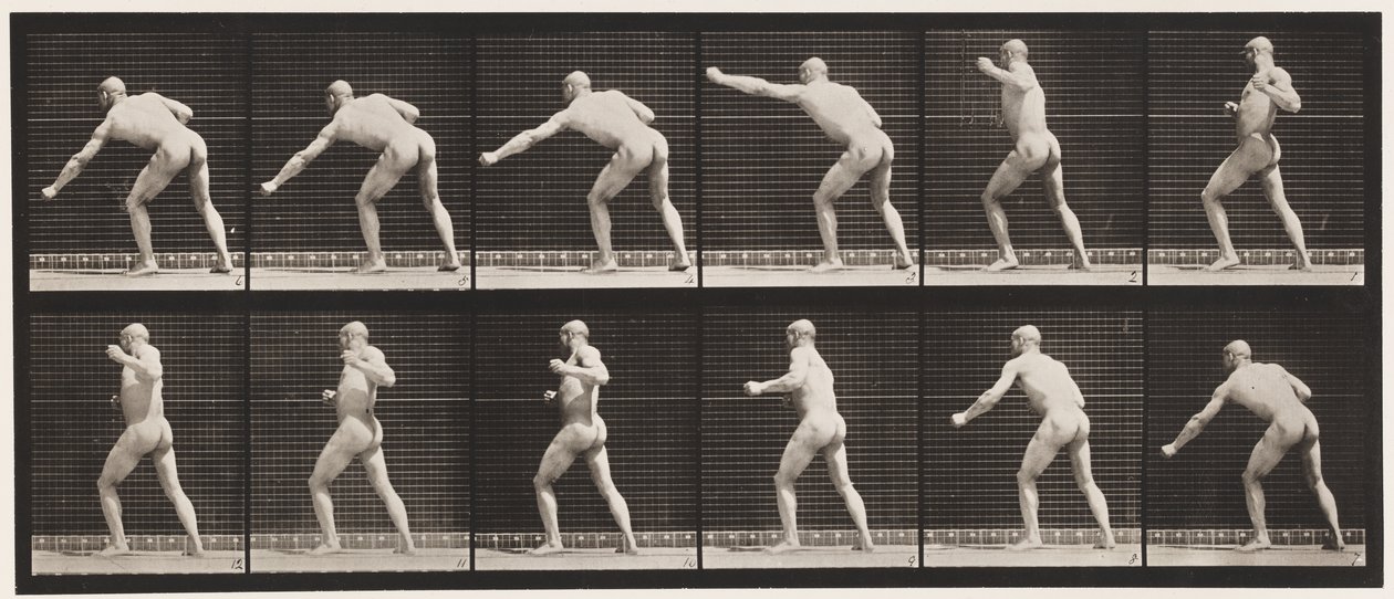 Plate 343. Slå et slag (venstre hånd) av Eadweard Muybridge