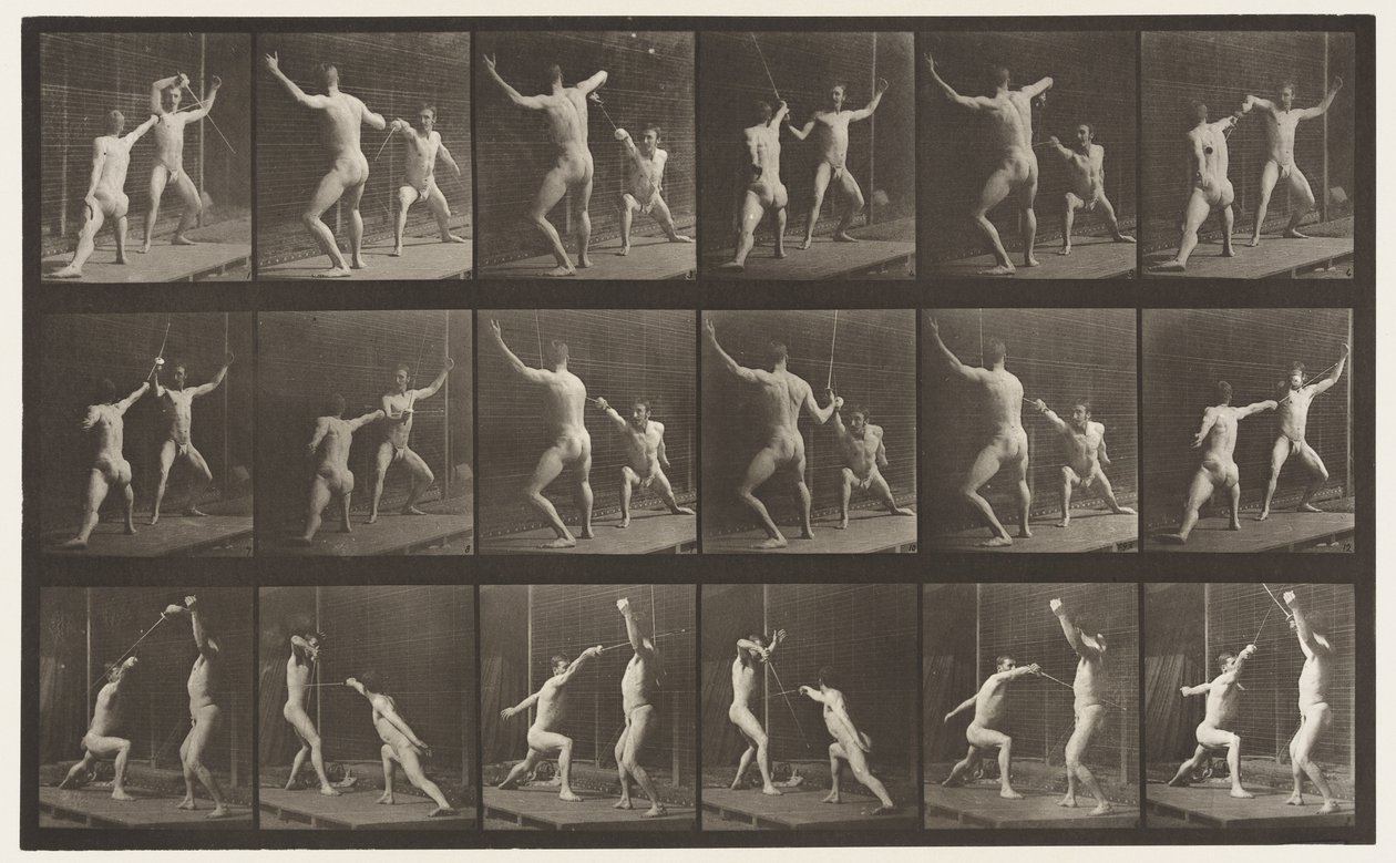 Plate 350. Gjerde av Eadweard Muybridge