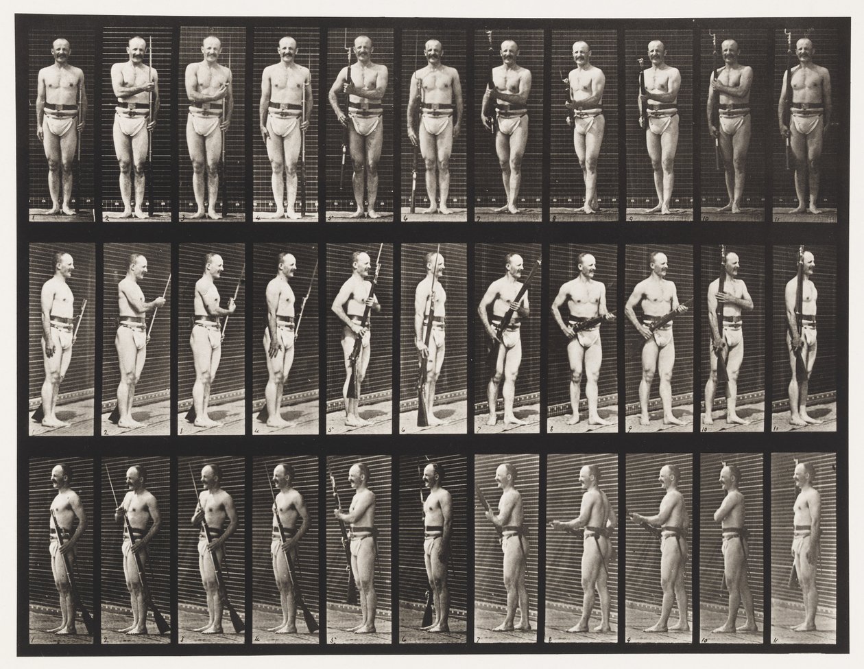 Plate 351. Fix and Unfix bajonetter, 1872-1885 av Eadweard Muybridge