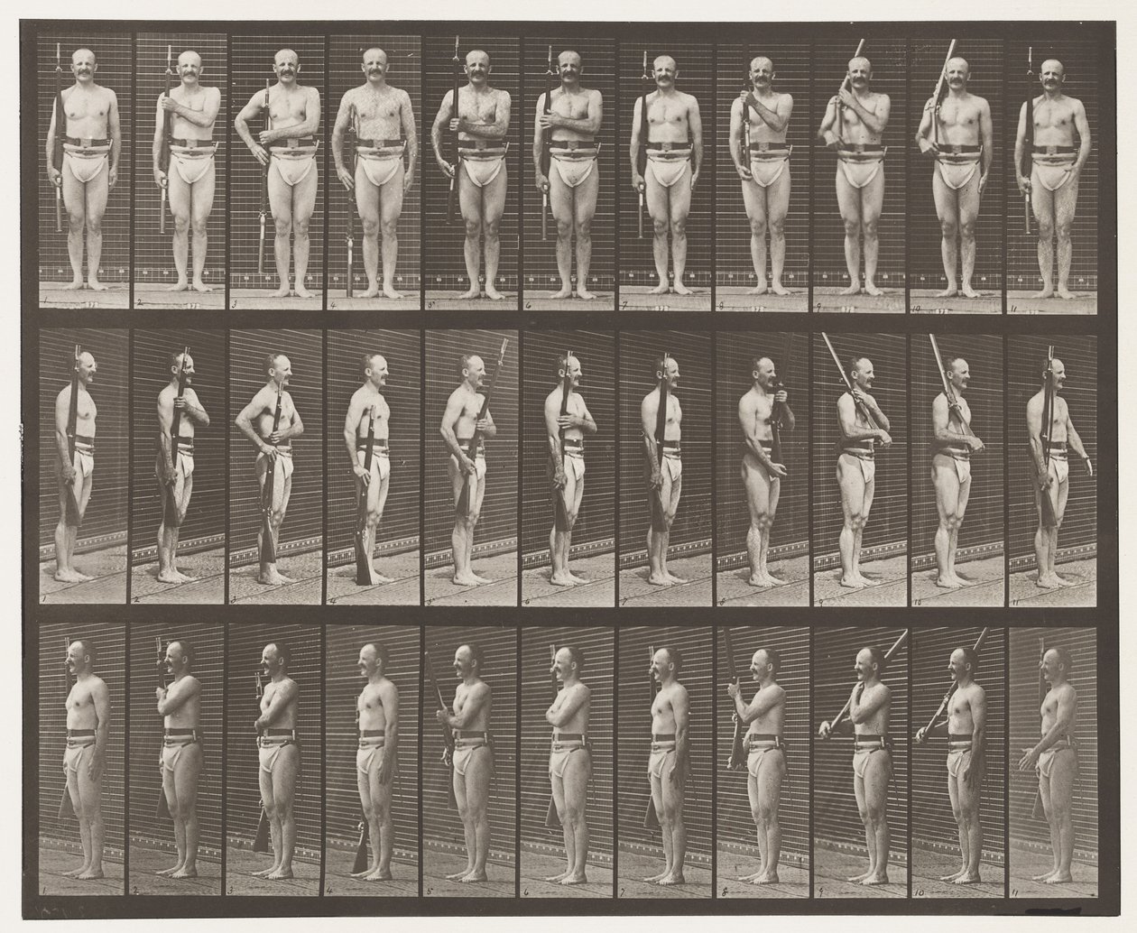Plate 352. Skulder-, ordens- og bærearmer av Eadweard Muybridge