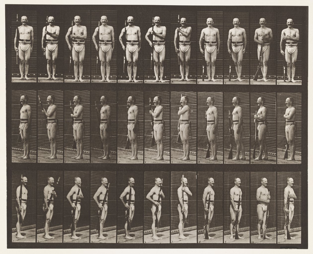 Plate 354. Bærearmer, paradestøtte og stiarmer av Eadweard Muybridge