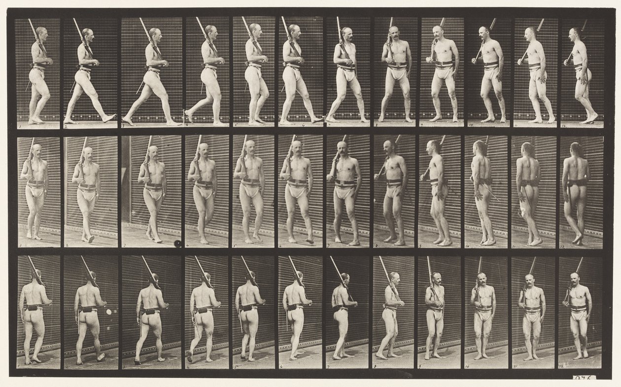 Plate 355. På vakt, går og snur seg av Eadweard Muybridge