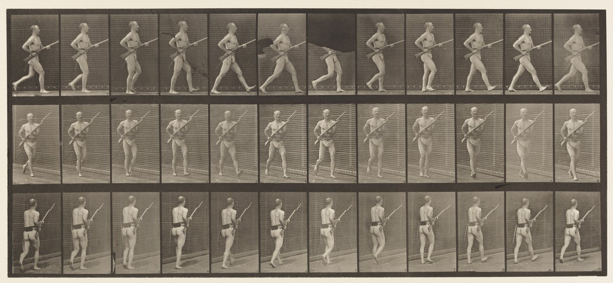 Plate 359. Ladebajonett, 1872-1885 av Eadweard Muybridge