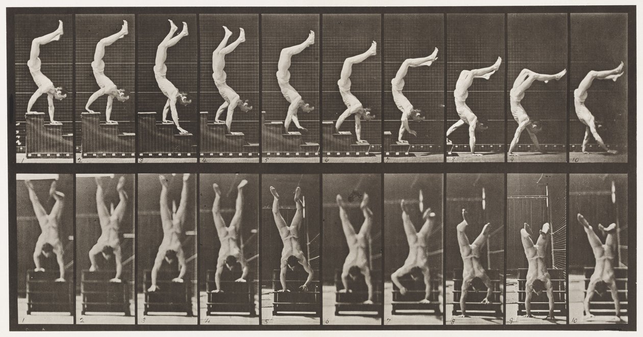 Tavle 368. Akrobat, nedgående trapper på hender av Eadweard Muybridge
