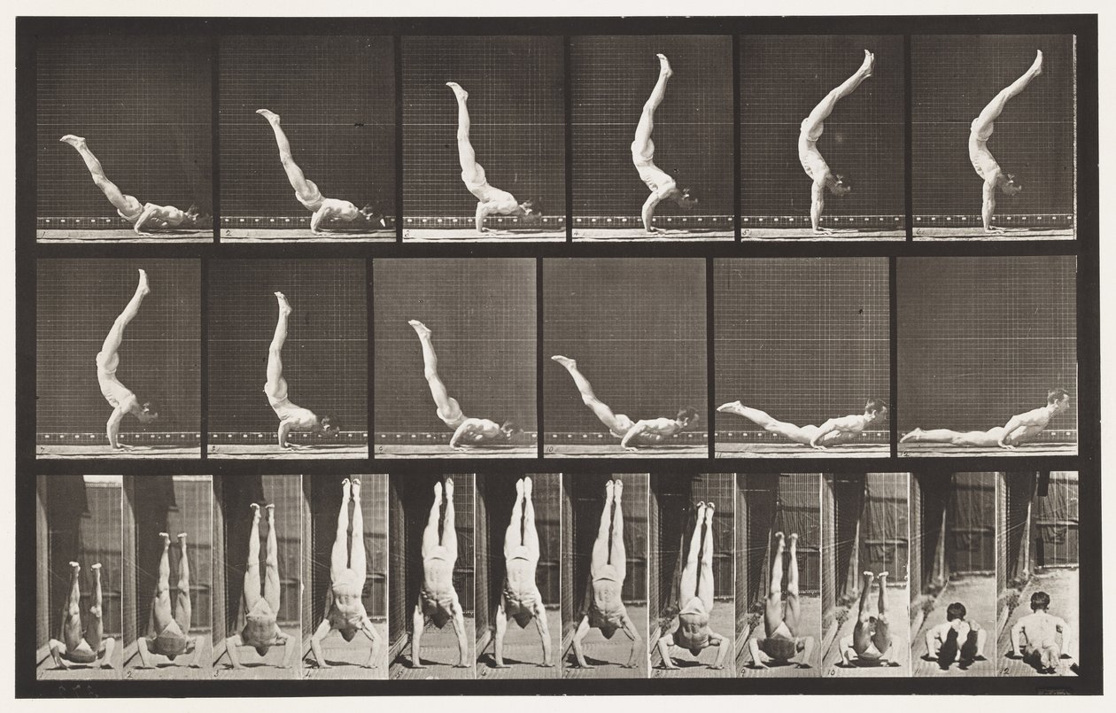 Plate 372. Acrobat, Horisontal Press Up av Eadweard Muybridge
