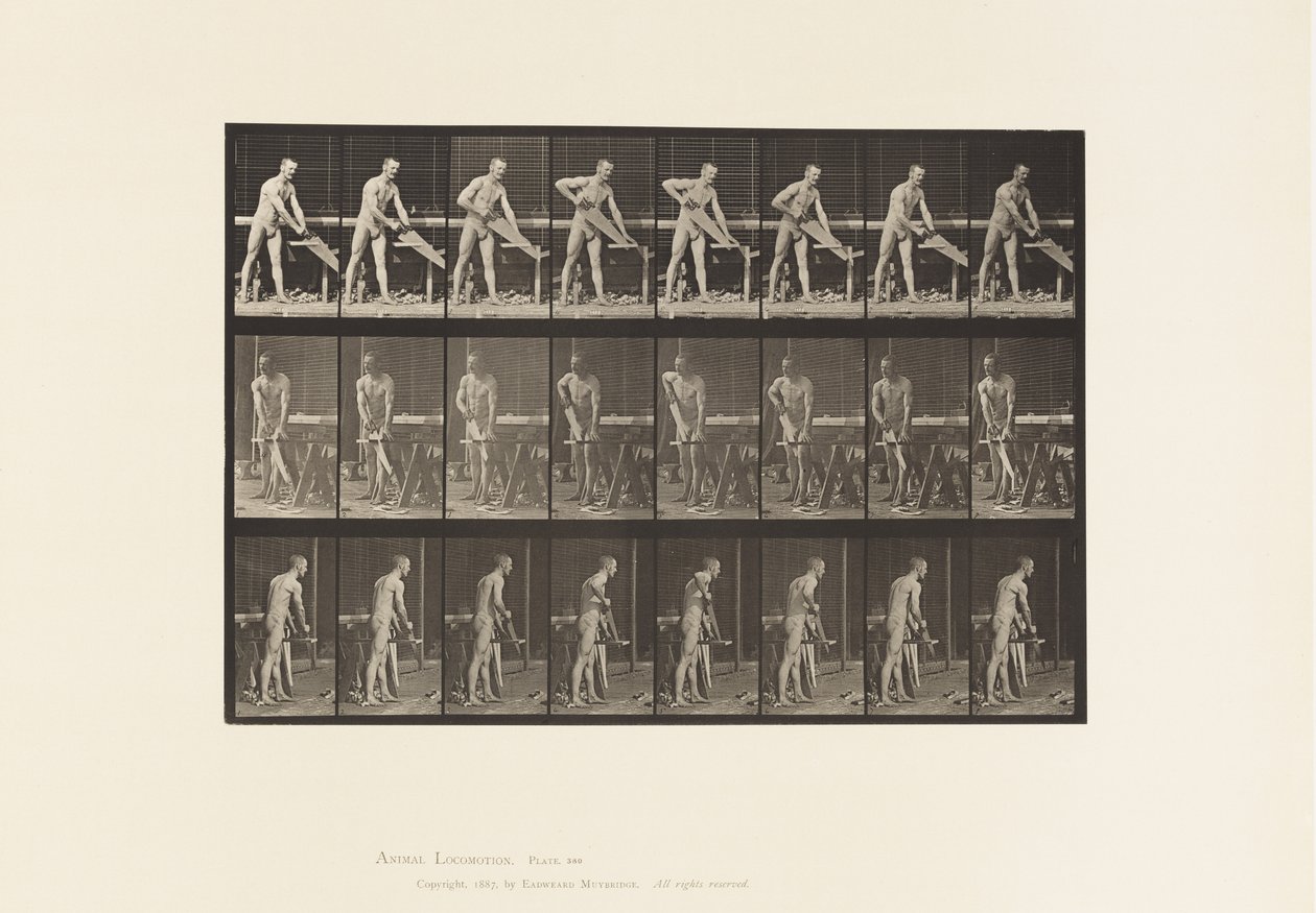 Plate 380. Snekker, Saging, 1872-1885 av Eadweard Muybridge