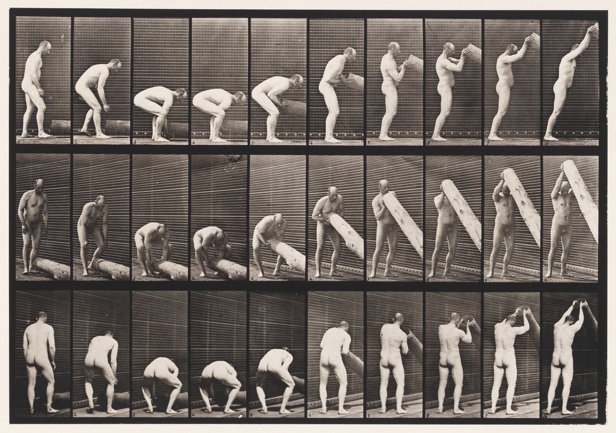 Plate 382. Lifting A Log on End, 1872-1885 av Eadweard Muybridge