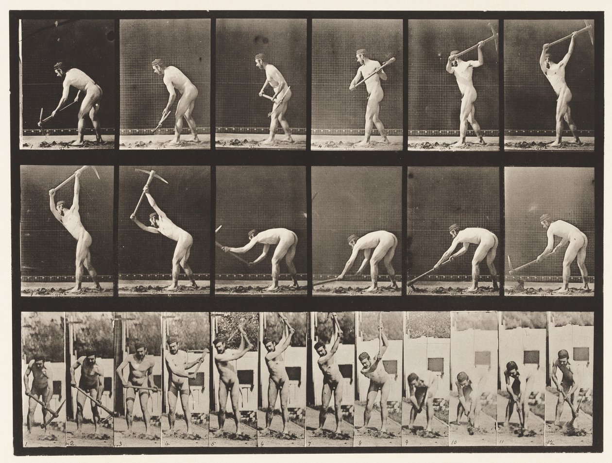 Plate 385. Farmer, Using a Pick, 1872-1885 av Eadweard Muybridge