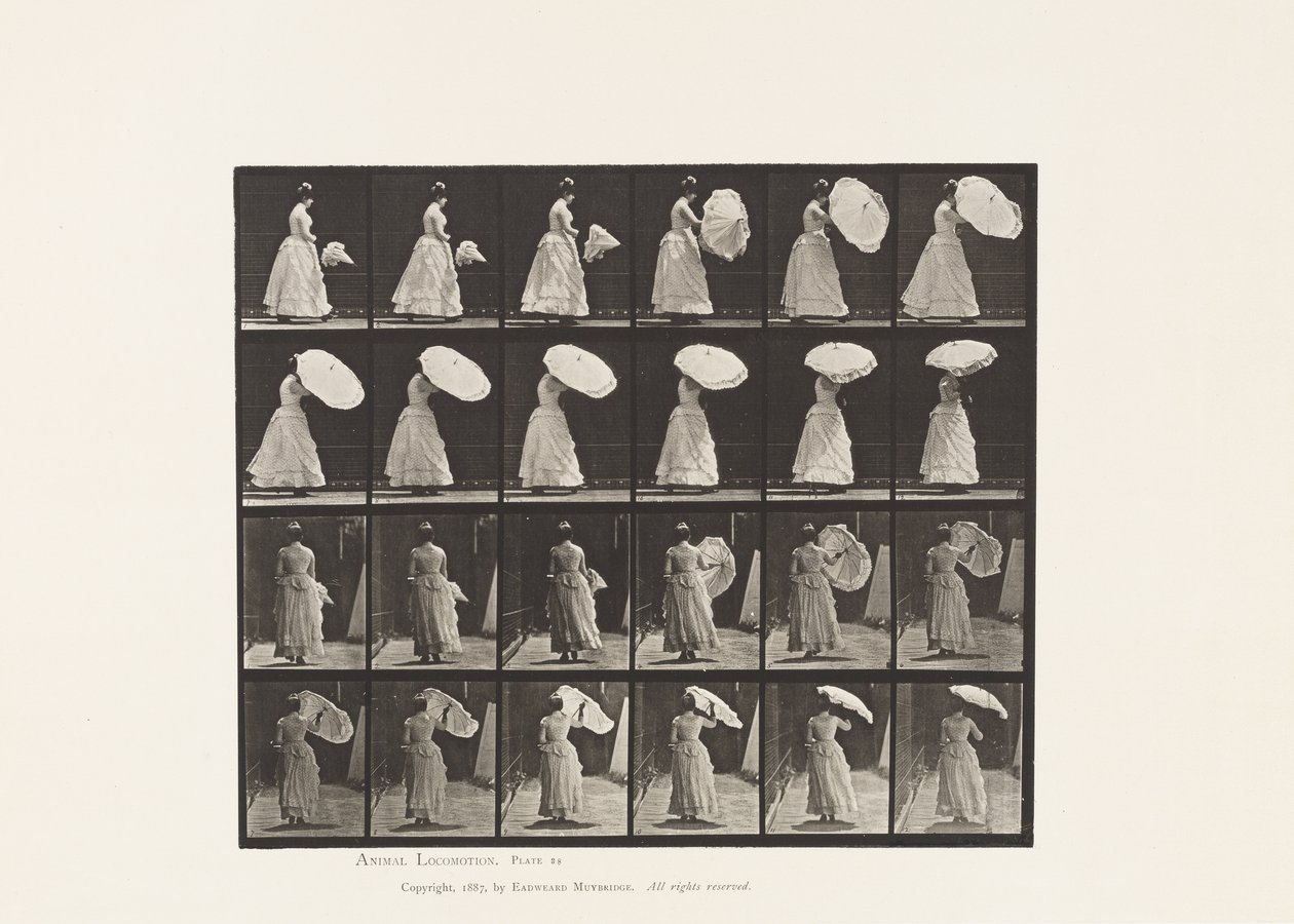 Plate 38. Walking, åpningsparasoll, 1885 av Eadweard Muybridge