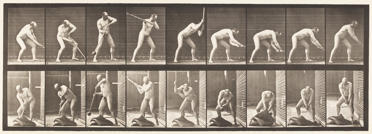 Tallerken 396. Dunkende med hammer av Eadweard Muybridge