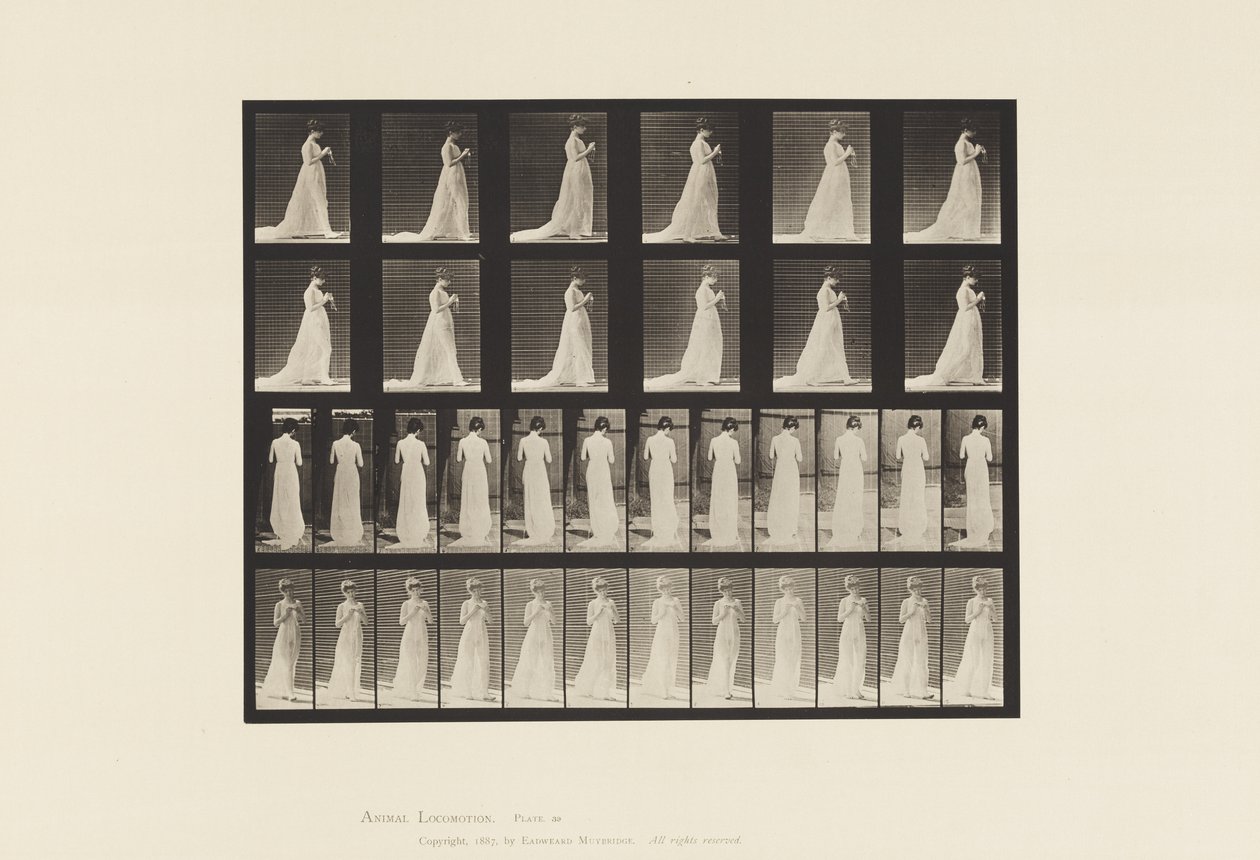 Plate 39. Gående, hender engasjert i strikking, 1872-1885 av Eadweard Muybridge