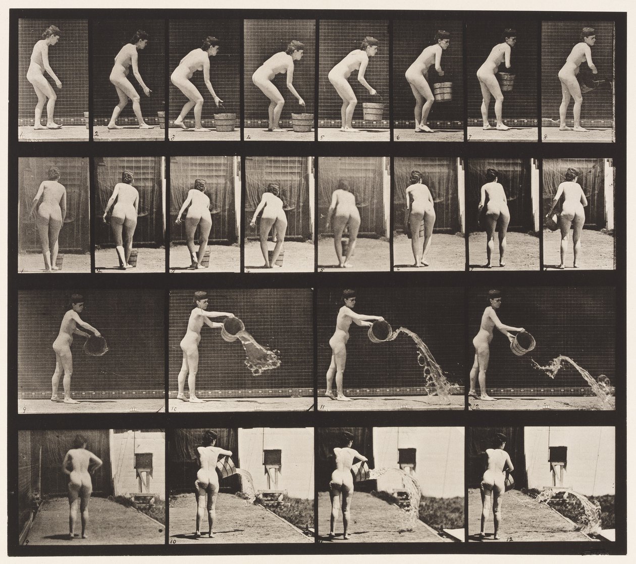 Tallerken 401. Tømmebøtte med vann av Eadweard Muybridge