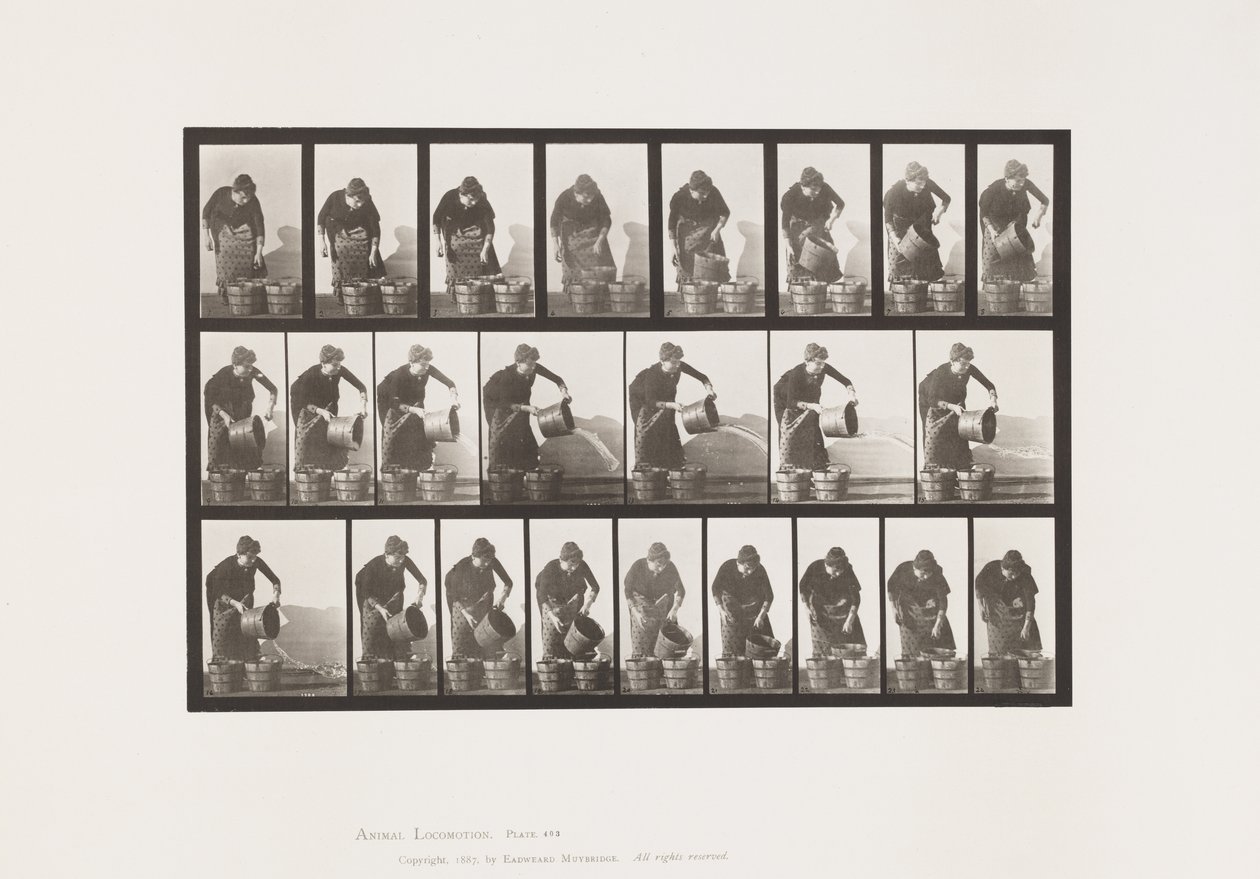 Tallerken 403. Tømmebøtte med vann av Eadweard Muybridge