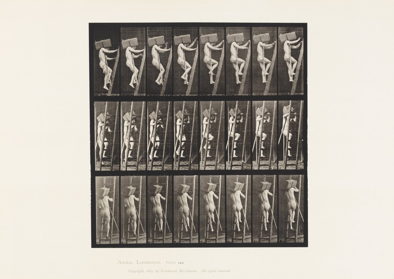 Plate 405. Bærende hånd av murstein opp en stige, 1872-1885 av Eadweard Muybridge