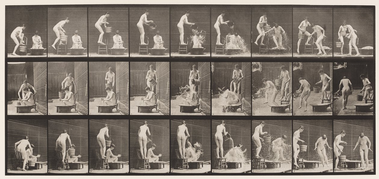 Plate 408. To modeller av Eadweard Muybridge