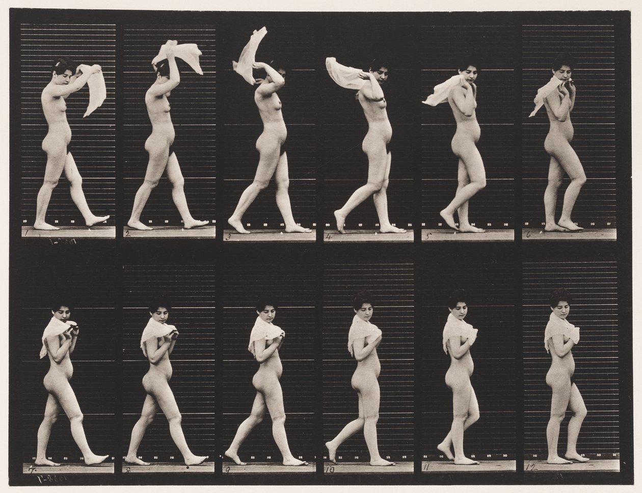 Tallerken 40. Gå, kaste lommetørkle over skuldrene av Eadweard Muybridge