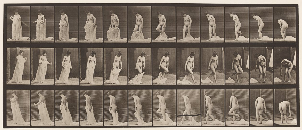 Tallerken 430. Toalett; Ta av klær, 1872-1885 av Eadweard Muybridge