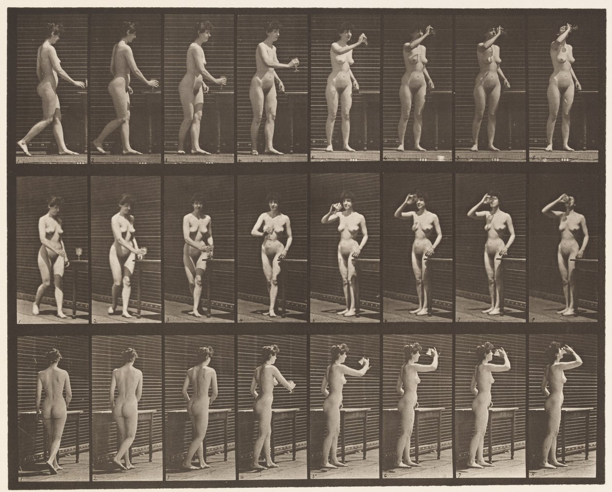Tallerken 443. Drikker fra en beger mens du står av Eadweard Muybridge