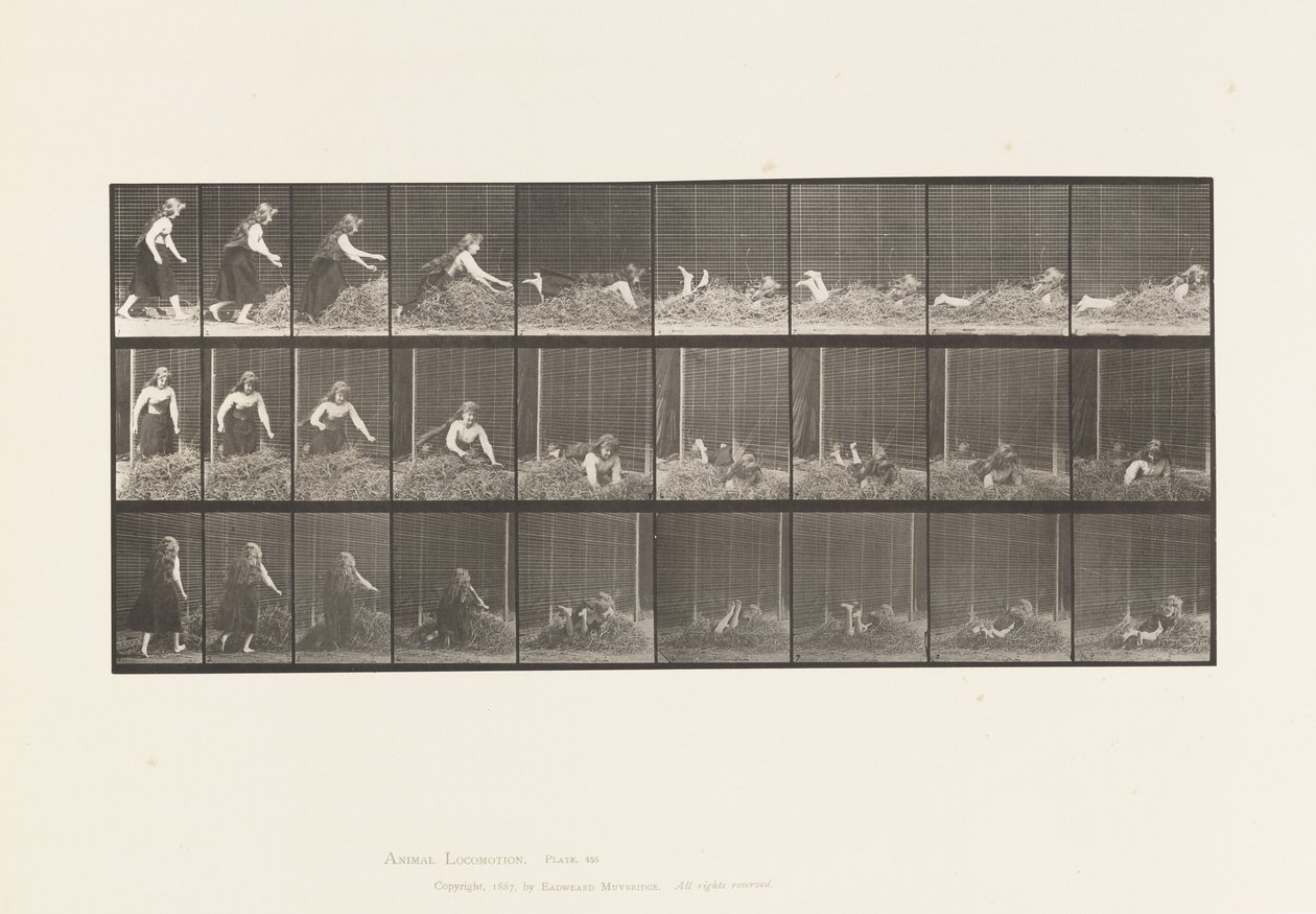 Plate 455. Kaster selv på høyhaug av Eadweard Muybridge
