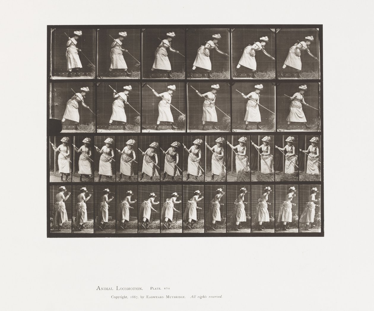 Plate 456. Rangeringen er 165 av Eadweard Muybridge