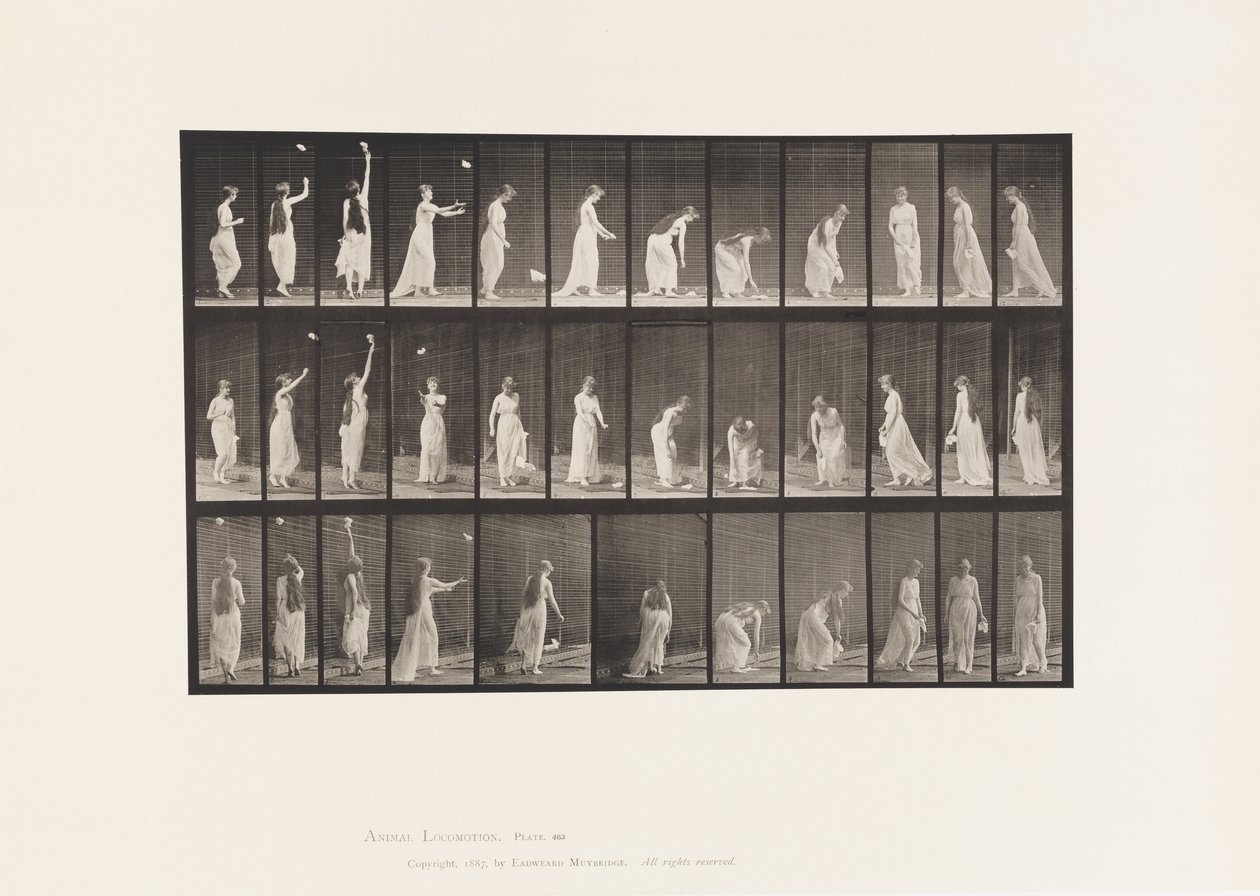 Plate 463. Reaching Up, Bøy og Snu rundt, 1885 av Eadweard Muybridge