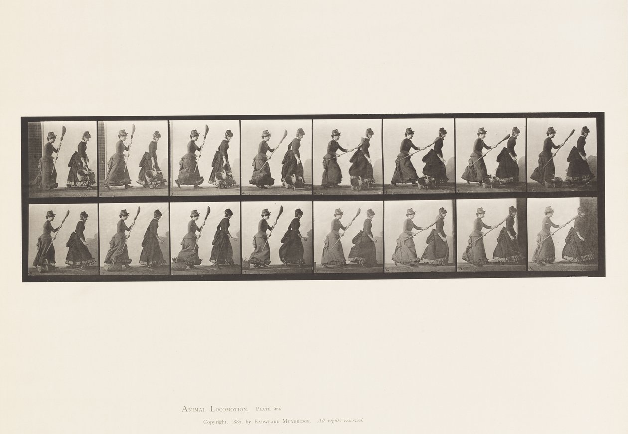 Plate 464. To modeller, 16 Chasing 4 with a Broom, 1885 av Eadweard Muybridge