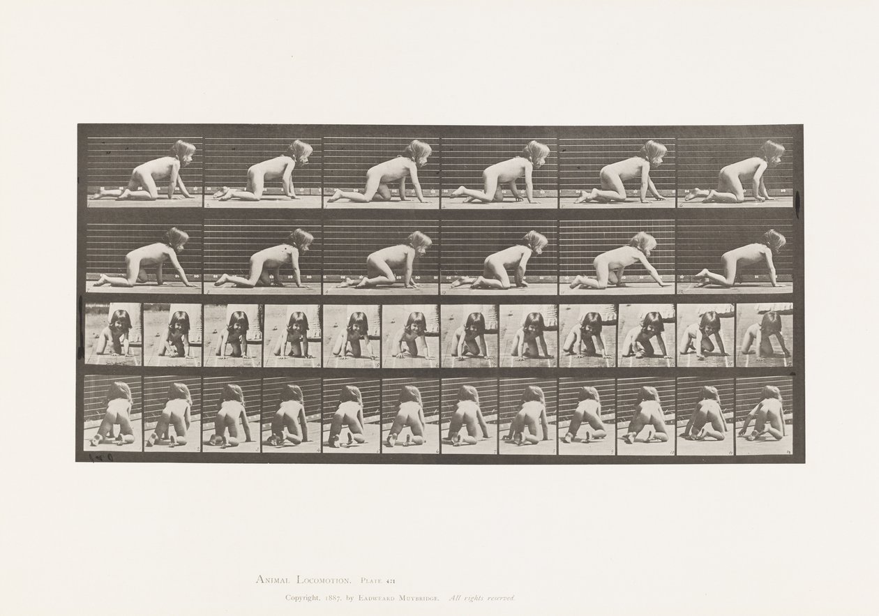 Plate 471. Barn, krypende på hender og knær, 1885 av Eadweard Muybridge