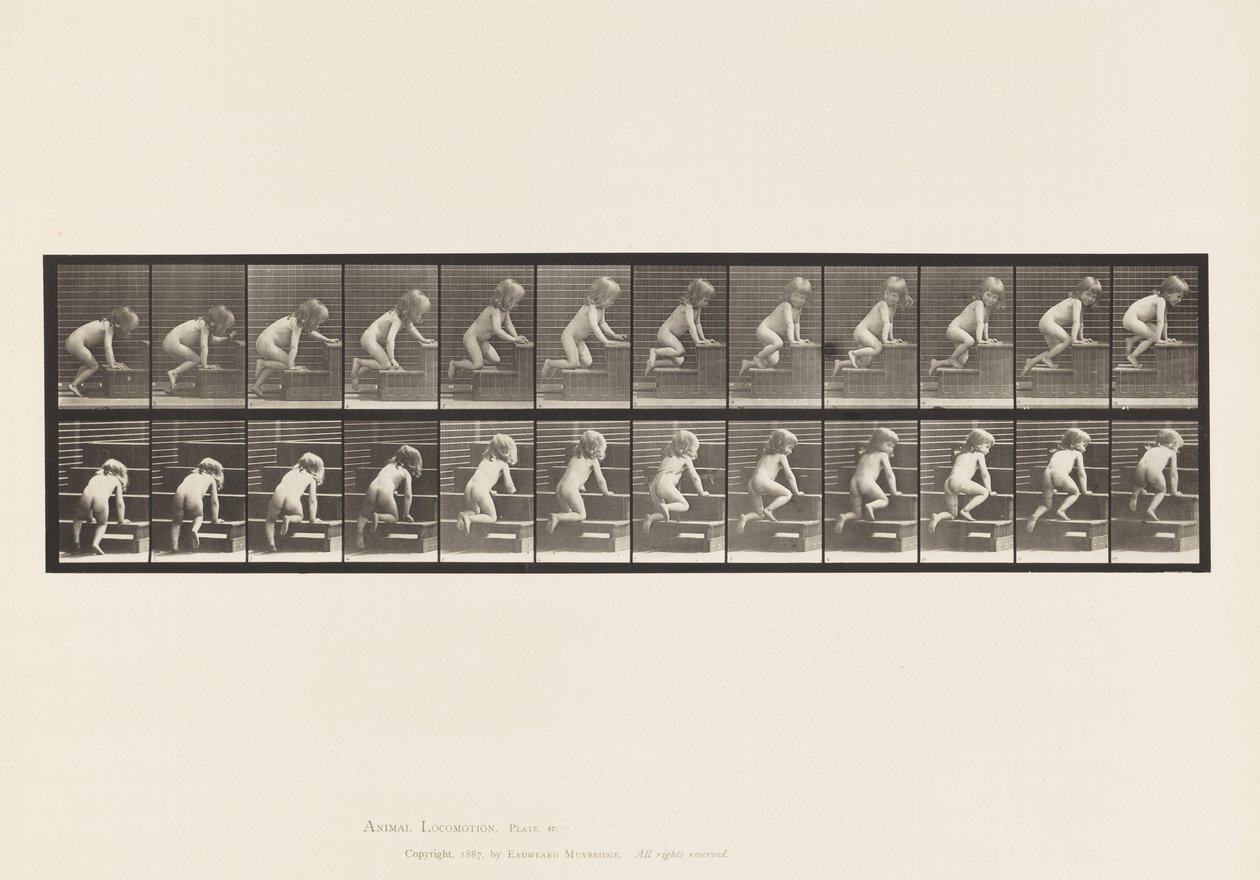 Plate 472. Child, Crawling Upstairs, 1885 (kollotype på papir) av Eadweard Muybridge
