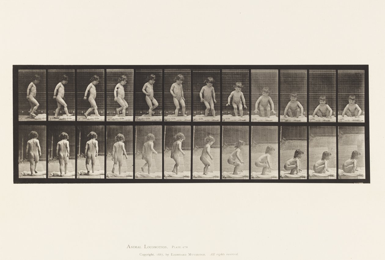 Tallerken 476.Barn, sitter på bakken av Eadweard Muybridge