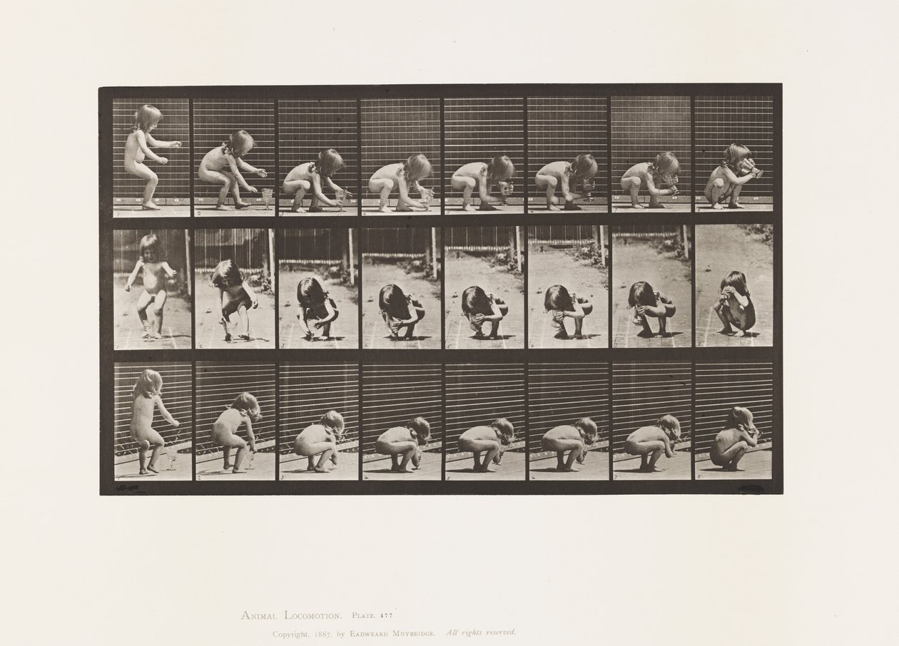 Tallerken 477. Barn, bøye seg, løfte en beger og drikke av Eadweard Muybridge