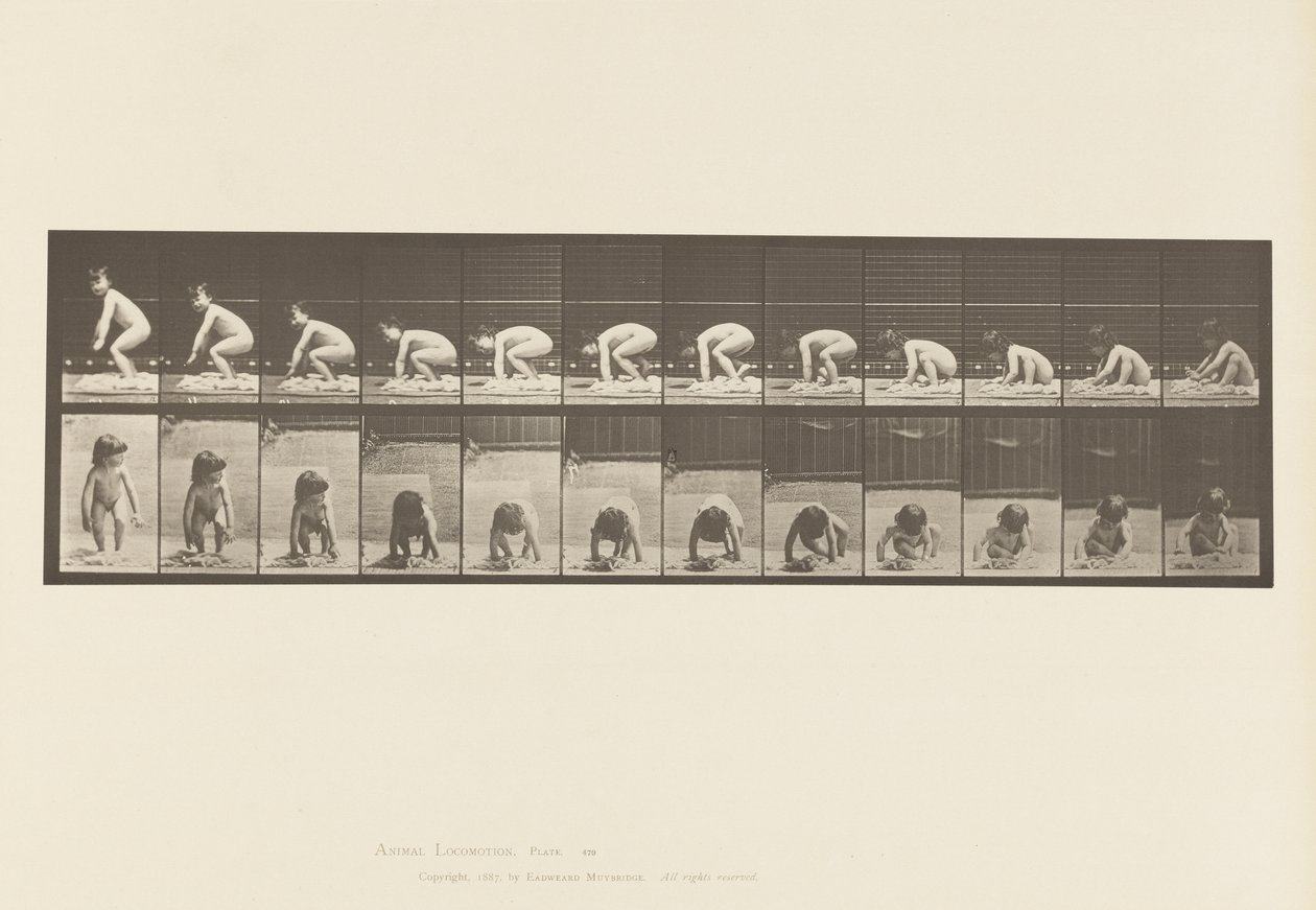 Plate 479. Barn, reiser seg fra bakken av Eadweard Muybridge