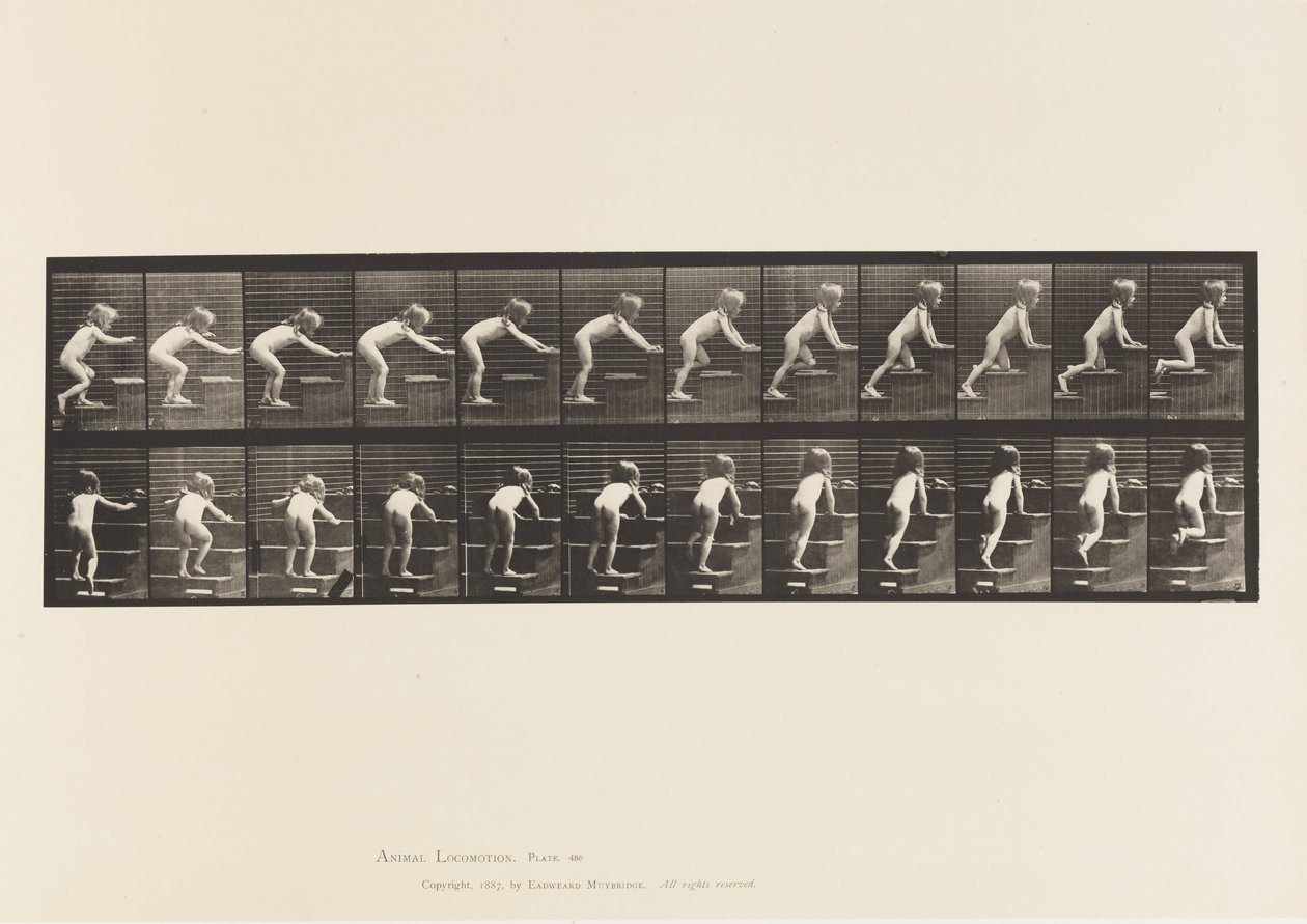 Plate 480. Barn, gående og krypende ovenpå av Eadweard Muybridge