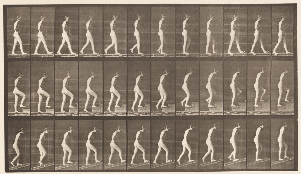 Plate 482. A, Gående; B, stigende trapper; C, Ascending Incline, 1872-1885 av Eadweard Muybridge