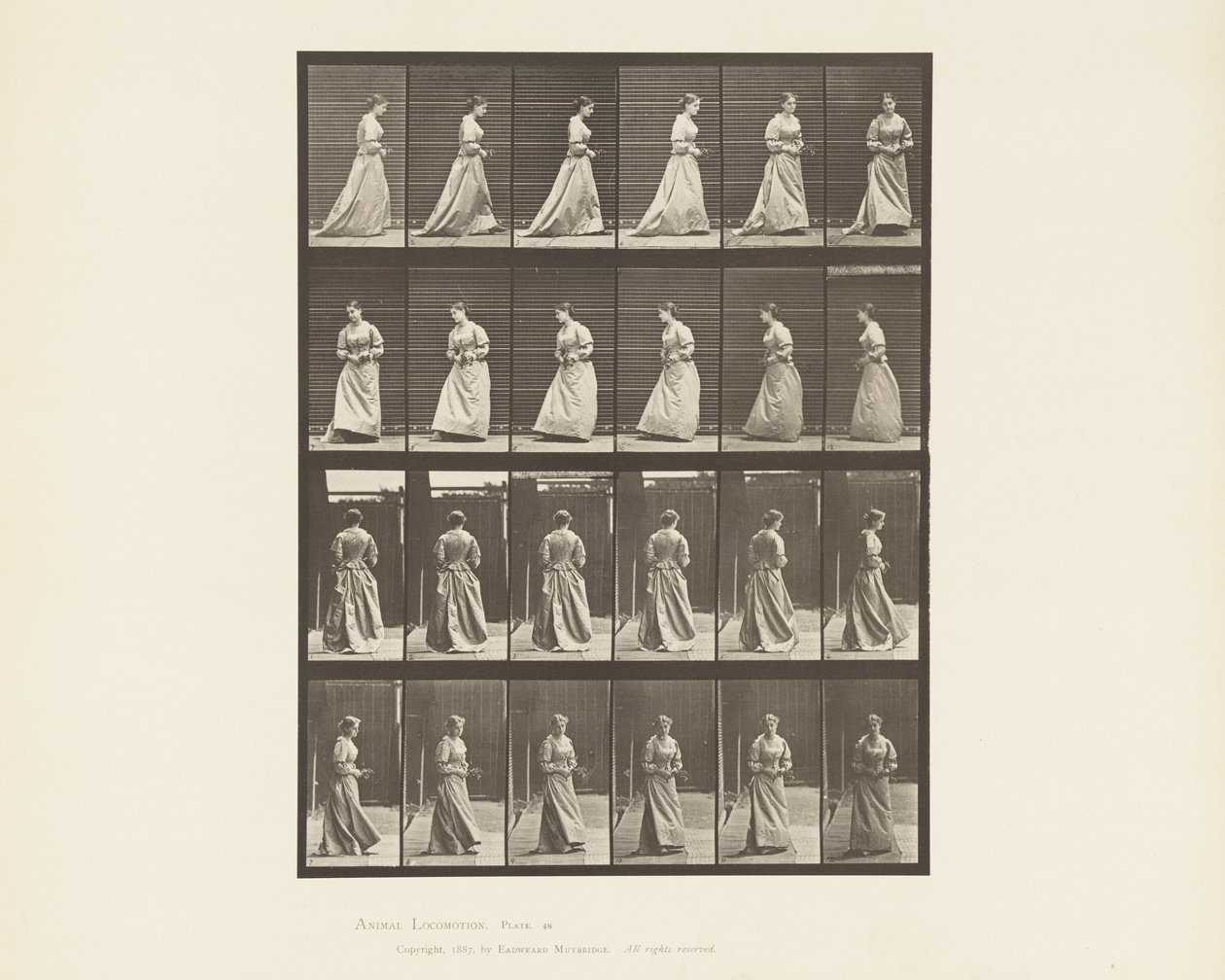 Tallerken 48. Bukett for gå og snu seg i begge hender, 1885 av Eadweard Muybridge