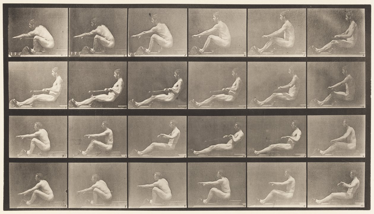 Plate 492. A av Eadweard Muybridge