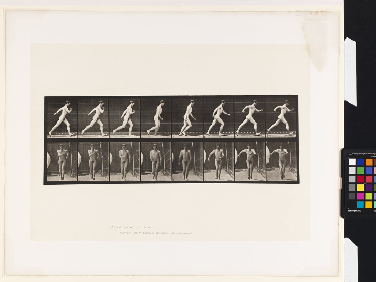 Plate 4. Gå av Eadweard Muybridge