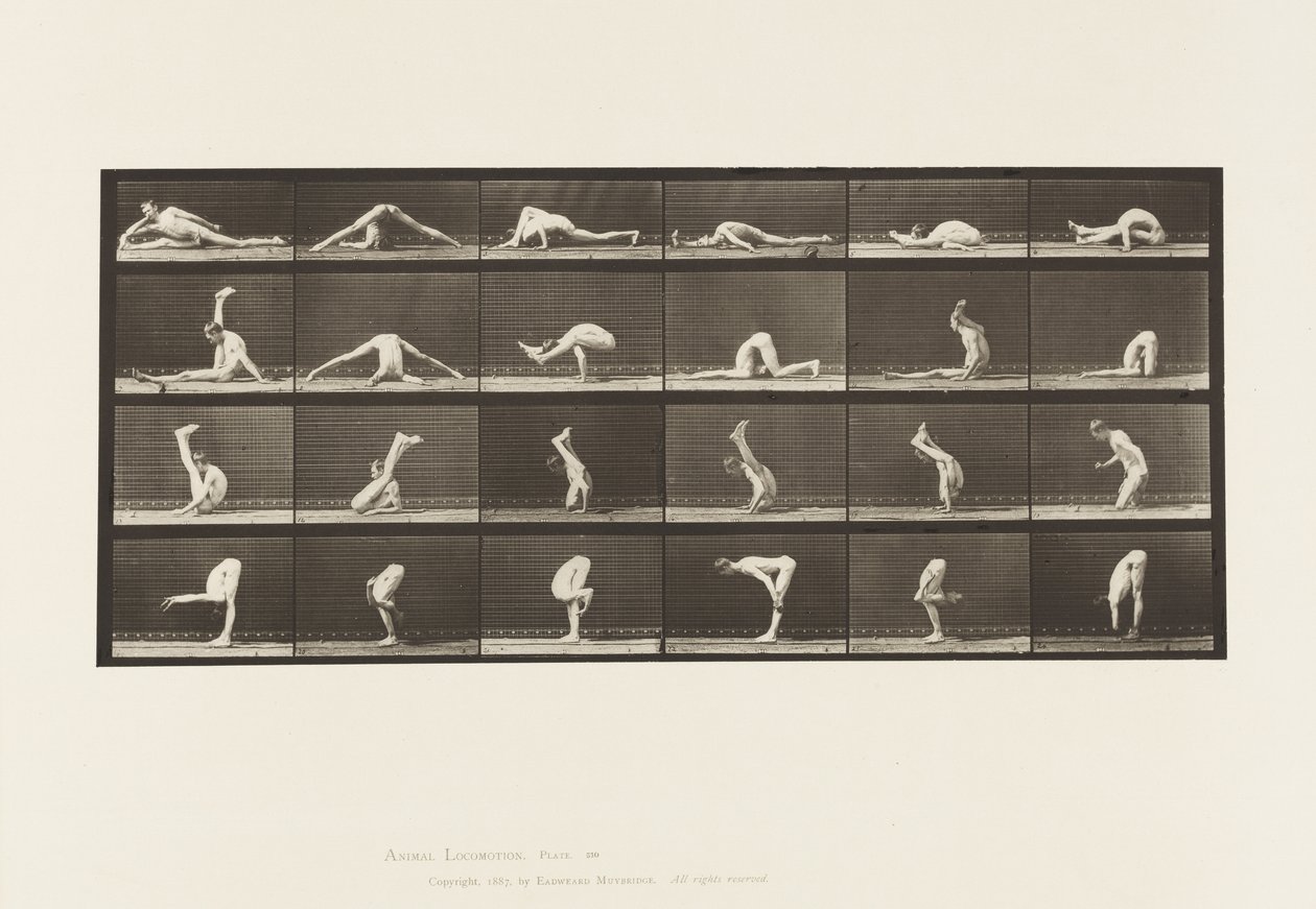Plate 510. Forvridninger på bakken, 1872-1885 av Eadweard Muybridge