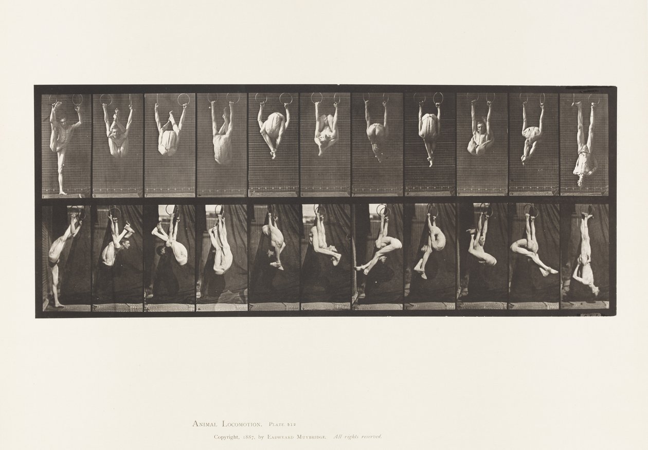 Plate 512. Vridninger på ringer av Eadweard Muybridge