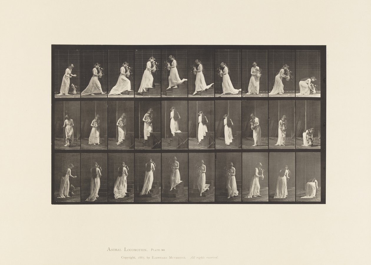 Plate 515. Stigende og nedgående trapper, etc., 1885 av Eadweard Muybridge