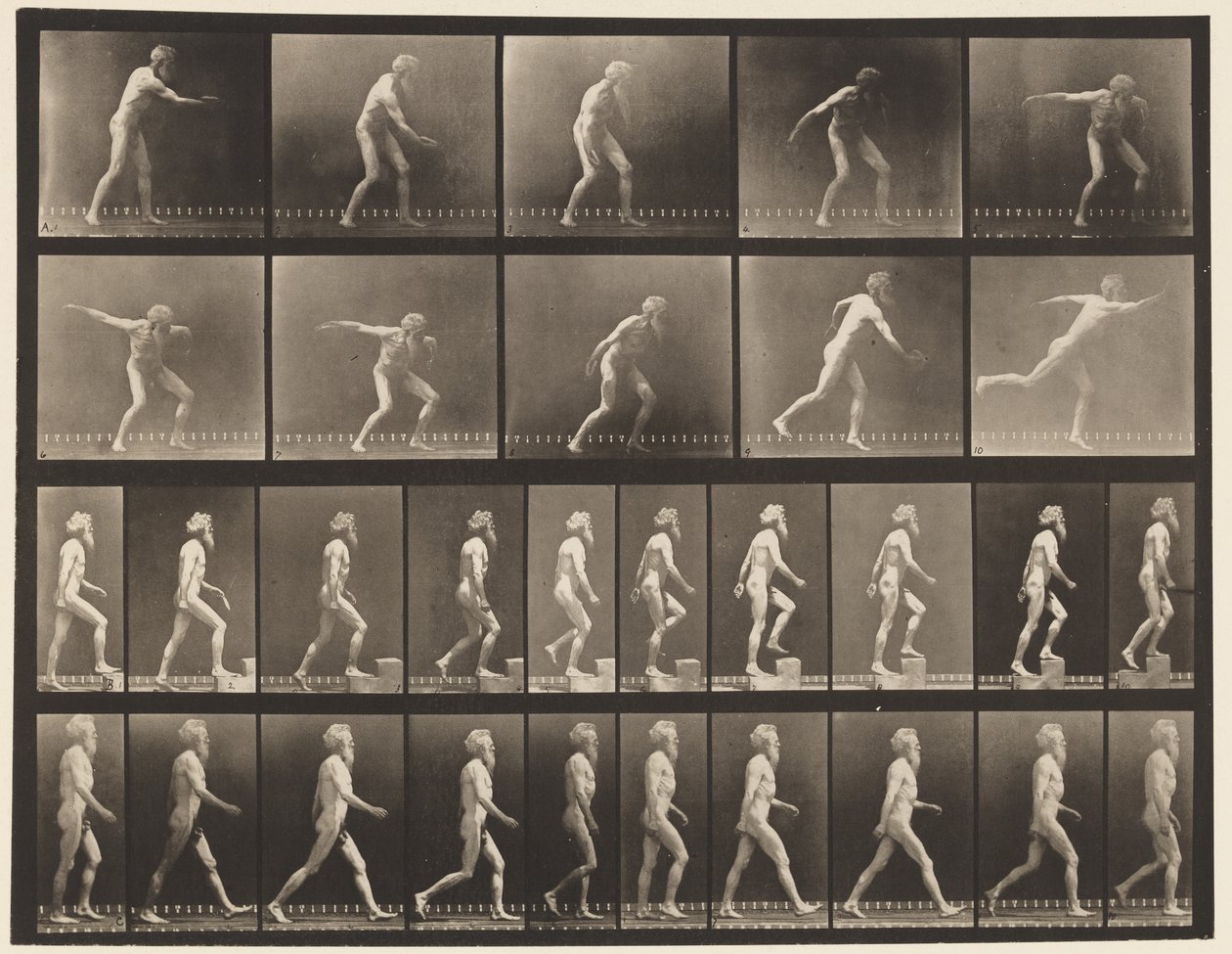 Plate 519. A, Kasteskive; B, Stigende trinn; C, Walking., 1872-1885 av Eadweard Muybridge