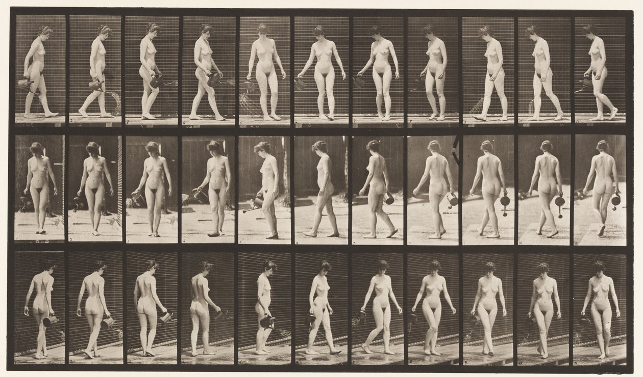 Plate 51. Gå og vende seg rundt med sprinkling potte, 1872-1885 av Eadweard Muybridge