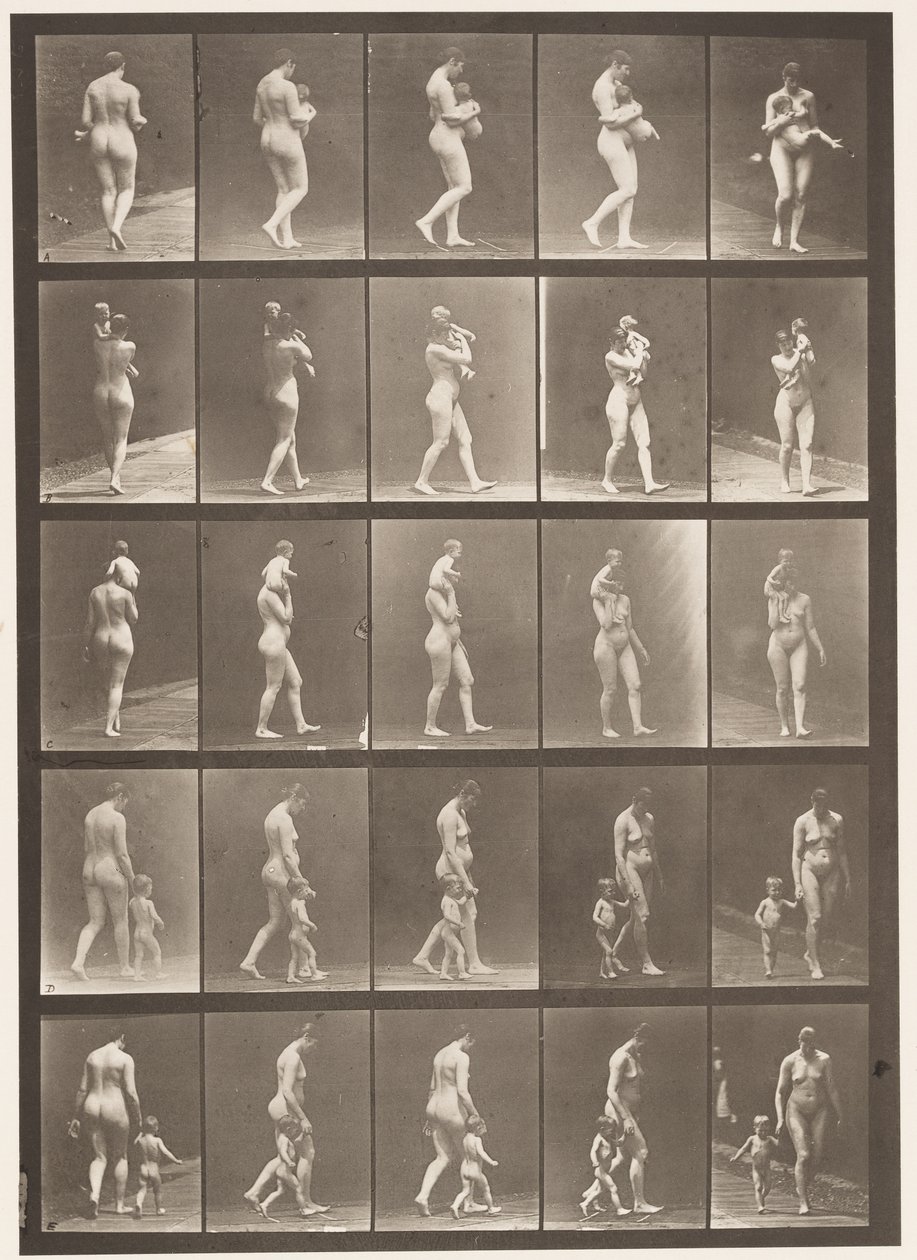 Plate 528. A,B,C av Eadweard Muybridge