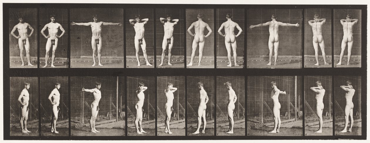Tallerken 529. Diverse stillinger av Eadweard Muybridge